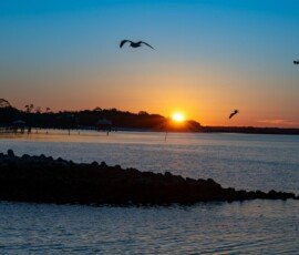 Harbor Sunrise