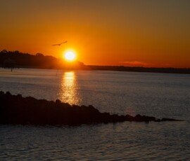 Harbor Sunrise
