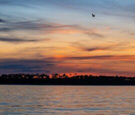 Sunrise - Looking north over Deer Island