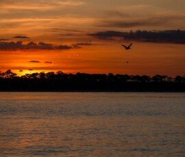 Sunrise - Looking north over Deer Island