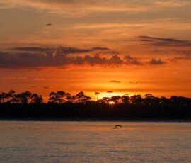Sunrise - Looking north over Deer Island