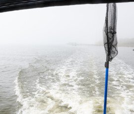 Looking over the stern of the Bird Barge toward Ocean Springs Harbor