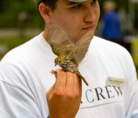 tagged and read for release