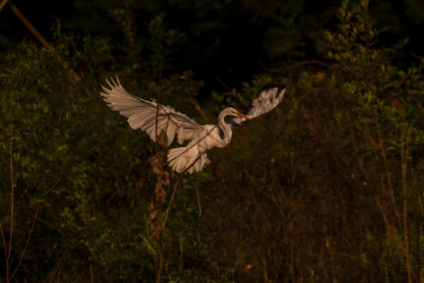 Just before landing